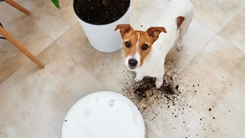 meilleur aspirateur robots pour animaux